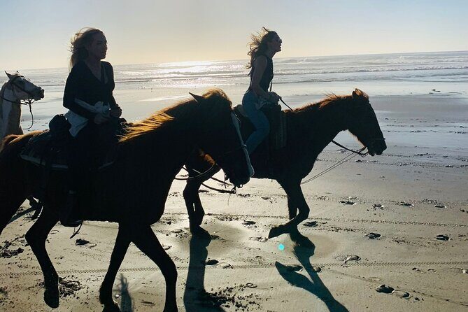 All-Inclusive Horseback Riding on the Beach in Mexico - Experience the Joy of Horseback Riding on the Beach in Baja California