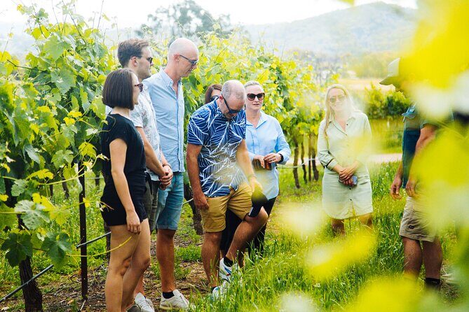All Inclusive Hunter Valley Wine Tour with Lunch from Sydney - Frequently Asked Questions