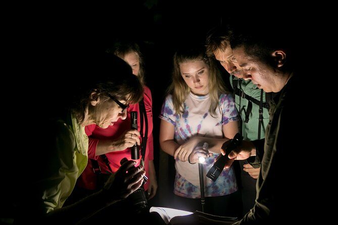 All-Inclusive Jungle Night Tour - Complete Guide to the All-Inclusive Jungle Night Tour in Manuel Antonio