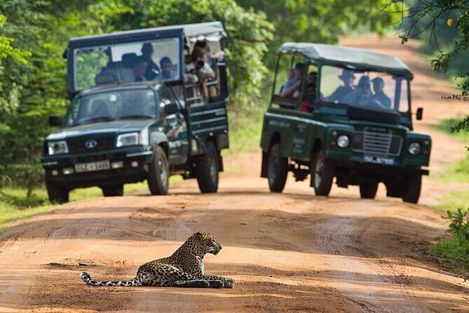All inclusive leopard safari Wilpattu with guide - Key Points