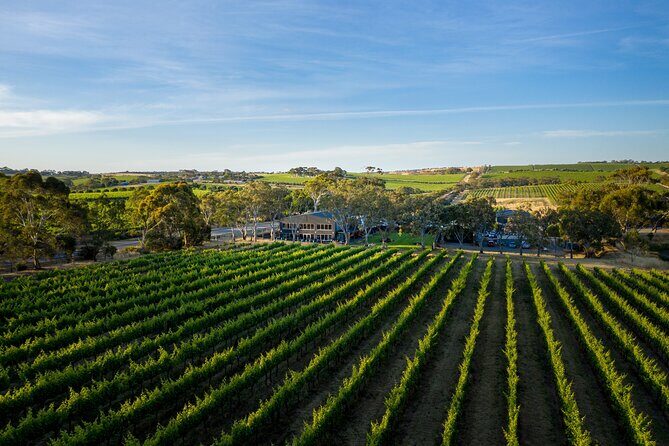 All-Inclusive McLaren Vale Wine & Brew Minibus Tour - Final Thoughts