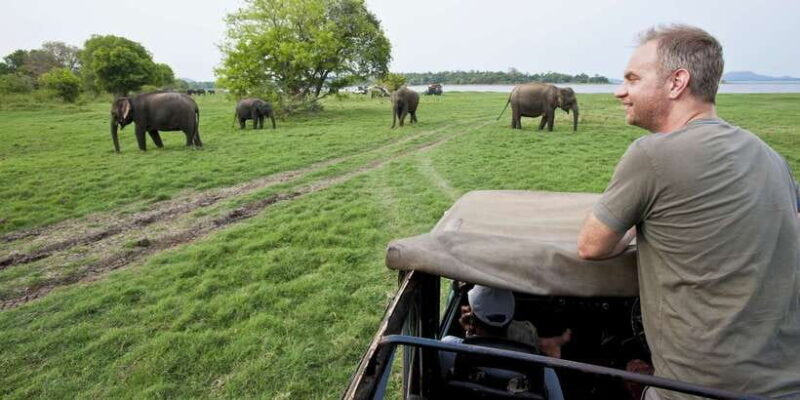 All-Inclusive Minneriya National Park Afternoon Safari - FAQ