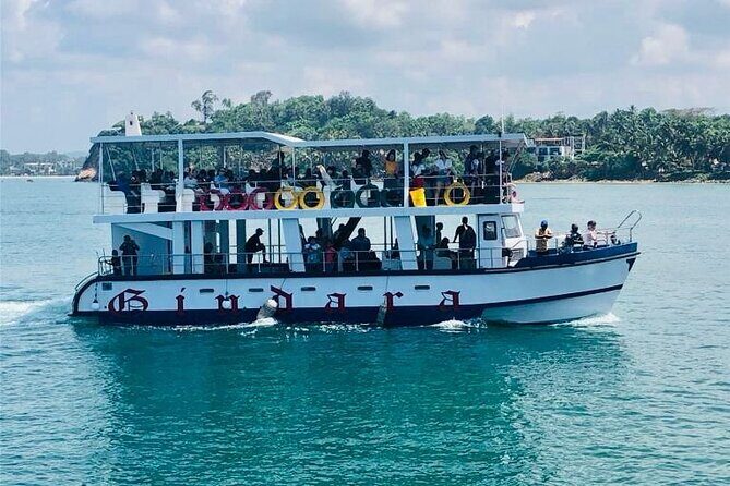 All Inclusive Mirissa Morning Whale Watching Boat Tour with Geeth - Discover the Mirissa Morning Whale Watching Adventure with Geeth