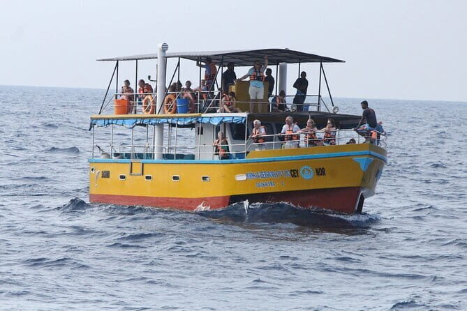 All Inclusive Mirissa Whale and Dolphin Watching Boat Ride - Key Points