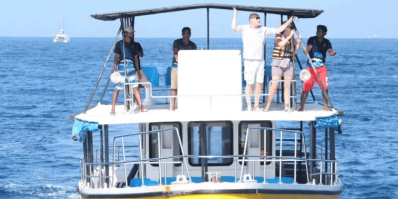 All Inclusive Mirissa Whale and Dolphin Watching Boat Ride - Key Points