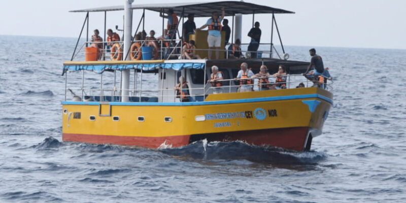 All Inclusive Mirissa Whale & Dolphin Watching + Snorkeling - The Experience: What to Expect on This Marine Adventure