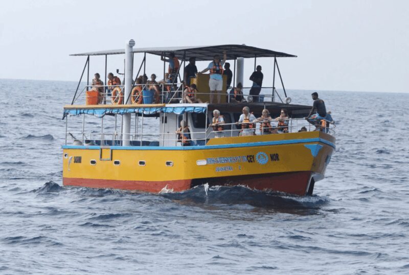 All Inclusive Mirissa Whale & Dolphin Watching + Snorkeling - Pricing and Value