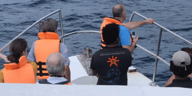 All Inclusive Mirissa Whale & Dolphin Watching + Snorkeling - FAQ