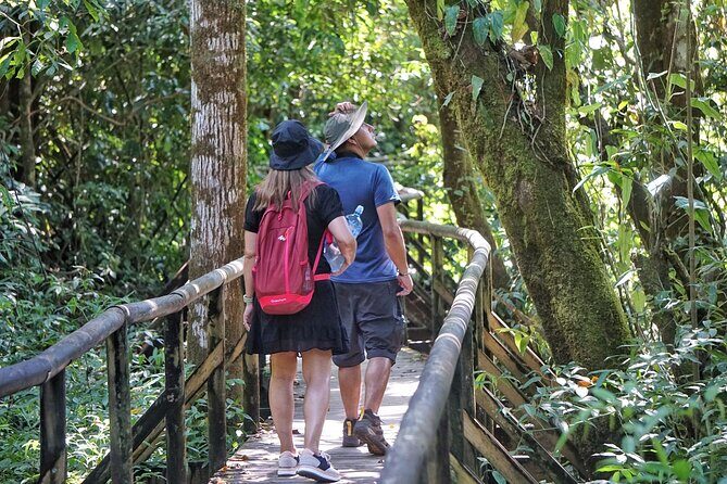 All Inclusive National Park Manuel Antonio with Binoculars - Key Points