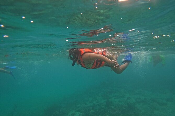 All Inclusive One Day Tour for Oxtankah Beach Club in Costa Maya - Key Points