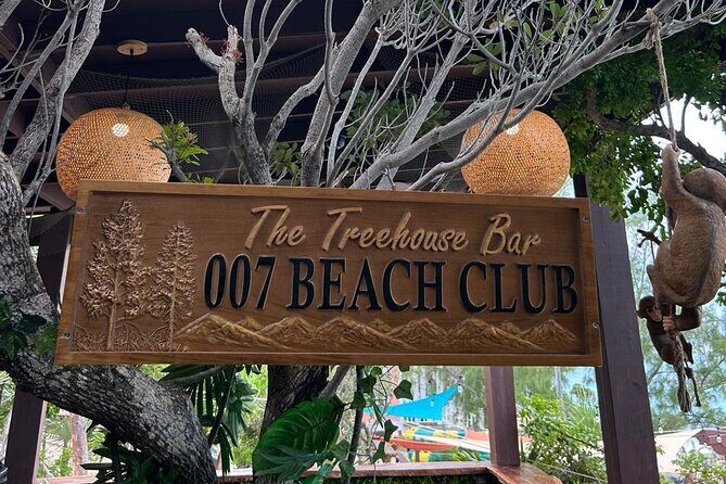 All Inclusive Pig Encounter, Snorkeling, Turtles, Lunch & Beach - A Deep Dive into the Day’s Itinerary