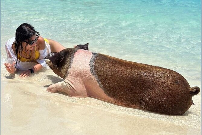 All Inclusive Pig Encounter, Snorkeling, Turtles, Lunch & Beach - Authentic Experiences and Authenticity
