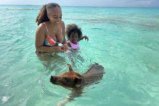 All Inclusive Pig Encounter, Snorkeling, Turtles, Lunch & Beach - Is This Tour Worth It?