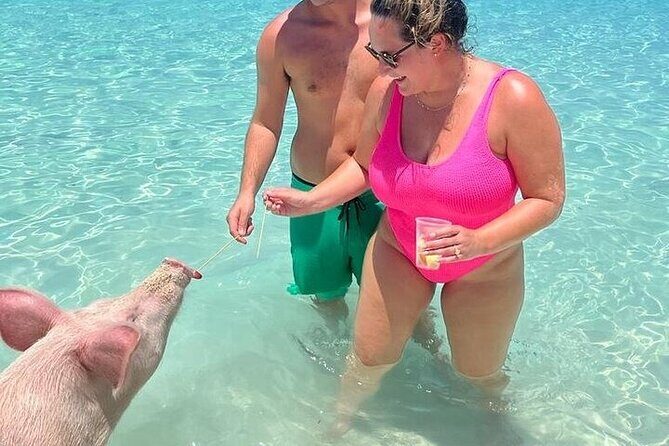 All Inclusive Pig Encounter, Snorkeling, Turtles, Lunch & Beach - Final Thoughts: Is It the Right Choice?