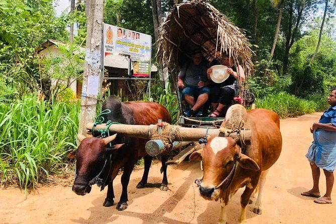 All inclusive Private Day tour Sigiriya, Dambulla & traditional village tour - Authenticity and Value