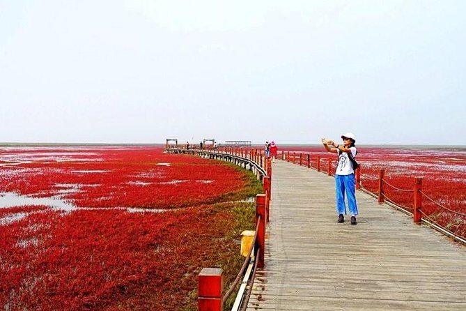 All-Inclusive Private Day Tour to Red Beach in Panjin City - Why You’ll Love This Tour: A Deep Dive into China’s Unique Red Coastline