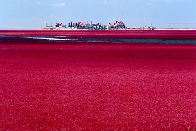 All-Inclusive Private Day Tour to Red Beach in Panjin City - Who Will Love This Tour?