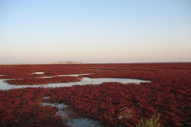 All-Inclusive Private Day Tour to Red Beach in Panjin City - Final Thoughts: Is It Worth It?