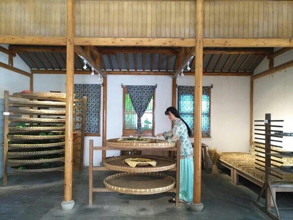 All-Inclusive Private Day Tour to Suzhou by Bullet Train - An In-Depth Look at the All-Inclusive Private Day Tour to Suzhou by Bullet Train