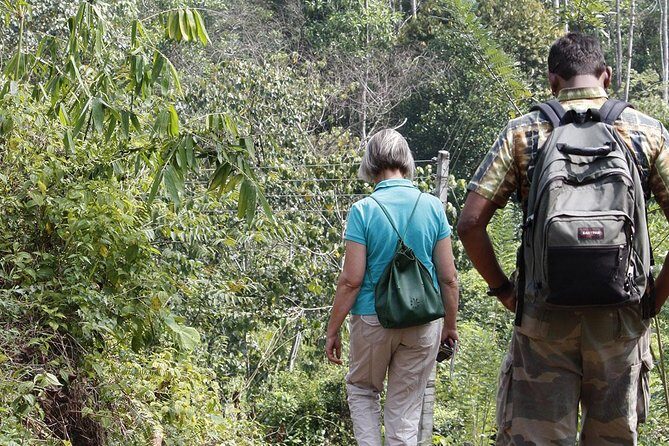 All Inclusive - Private Overnight Rain forest adventure in Sinharaja - Exploring the Sinharaja Rain Forest Experience