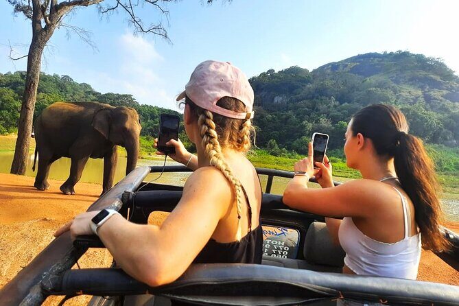 All Inclusive Private Safari at Habarana Park (Pick-up Included) - An Authentic Safari in Sri Lanka’s Heartland