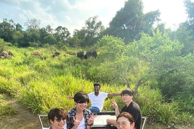 All Inclusive Private Safari at Habarana Park (Pick-up Included) - FAQs