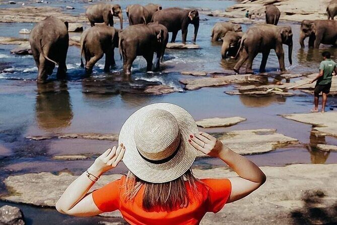 All-Inclusive Private tour in Sri Lankan Island 9 Day HB hotels - A 9-Day Private Tour of Sri Lanka: Discover the Heart of the Island