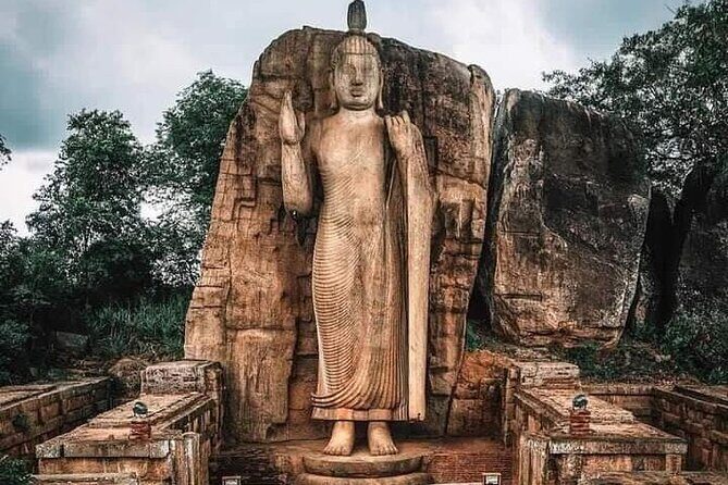 All-Inclusive Private tour in Sri Lankan Island 9 Day HB hotels - What Travelers Say About the Tour