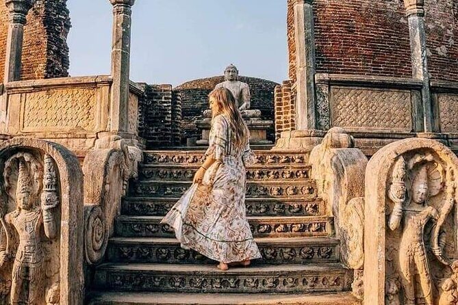 All-Inclusive Private tour in Sri Lankan Island 9 Day HB hotels - Who Should Consider This Tour?