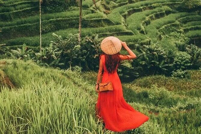 All-Inclusive Private Ubud and Tanah Lot Temple Tour - The Sum Up