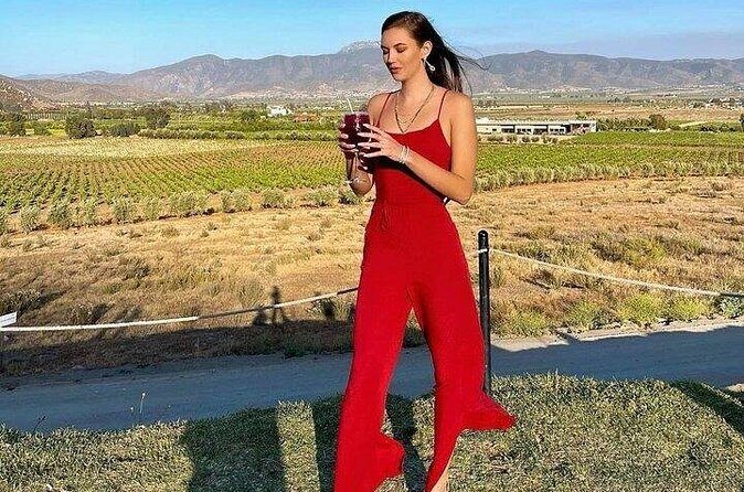 All-Inclusive Private Wine Tour in Baja - Who Should Consider This Tour?