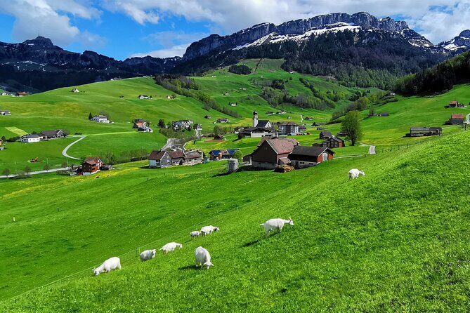 All Inclusive Rhine Falls and Appenzell Private Day Tour from Zurich - Final Words