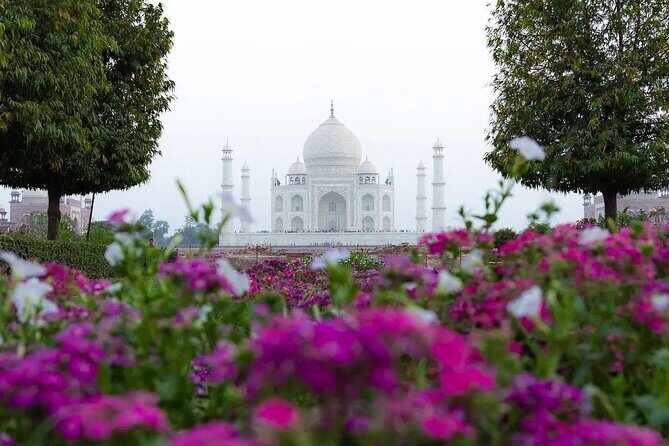 All Inclusive Same Day Trip to Taj Mahal and Agra Fort from Delhi - Lunch and Additional Comforts