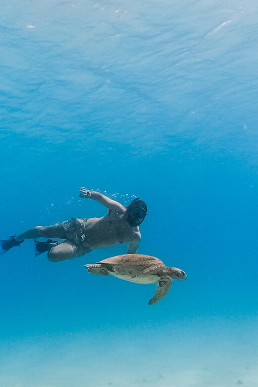 All-inclusive Snorkel in Balandras Hidden beaches, La Paz - Starting Point & Transportation
