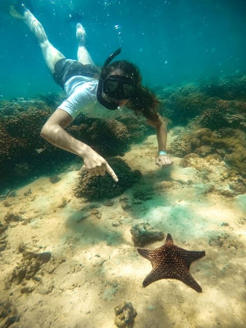 All-inclusive Snorkel in Balandras Hidden beaches, La Paz - Snorkeling & Wildlife Encounters
