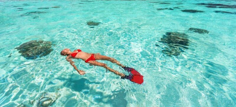 All-inclusive Snorkel in Balandras Hidden beaches, La Paz - Return Journey & Drop-Off
