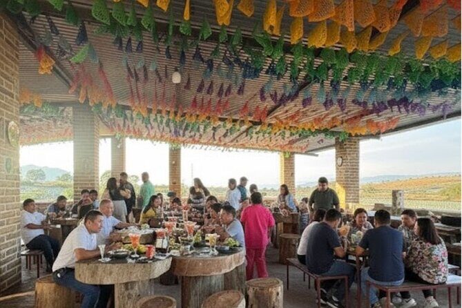 All-Inclusive Tequila, History and Adventure in Rancho Agavero - First Stop: The Agave Fields and Jima Demonstration