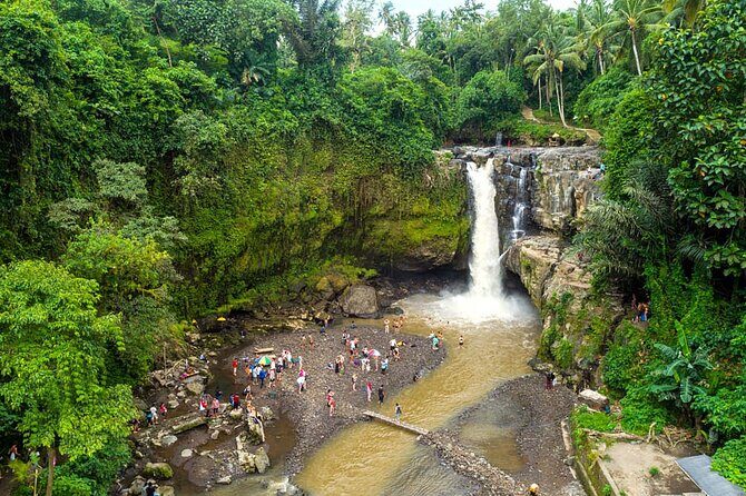 All-Inclusive Ubud Bali Private Full-Day Tour - Practical Details and What You’ll Love