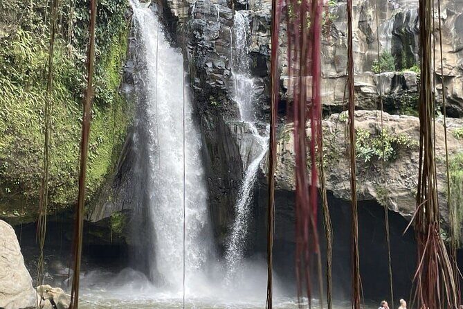 All Inclusive Ubud Cultural and Natural Highlights Tour - Key Points