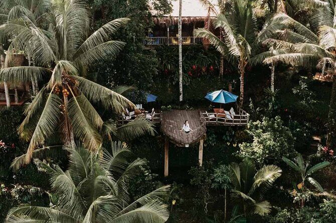 All-Inclusive Ubud Private Tour - Final Thoughts