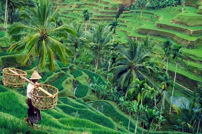 All inclusive Ubud private tour - Key Points