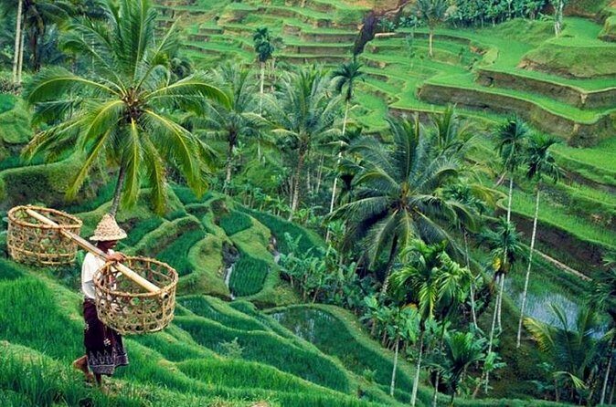 All inclusive Ubud private tour - FAQ