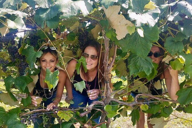 All Inclusive VIP Wine or Beer Tour in Hudson Valley - Who Would Love This Tour?