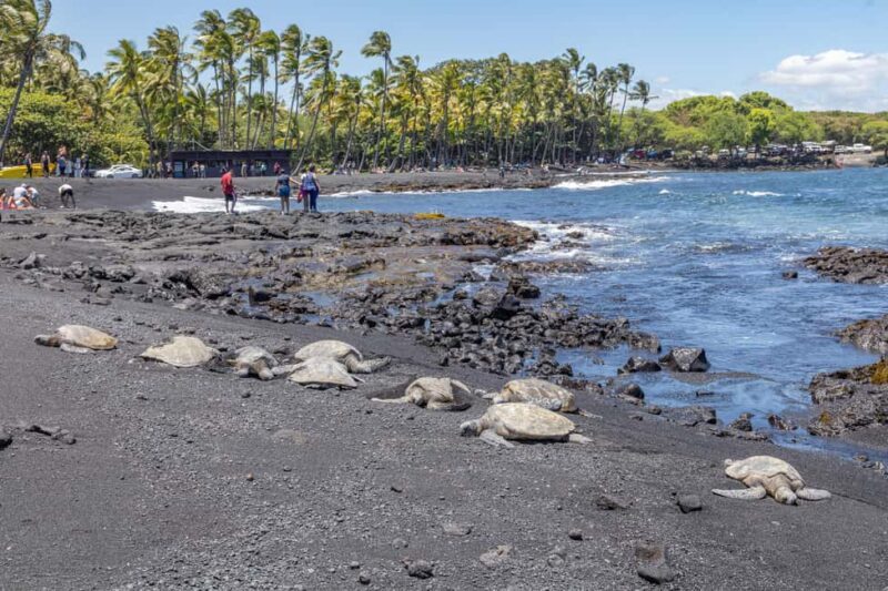 All-Inclusive: Volcanoes, Lava Tube & Black Sand Beach Tour - Who Should Consider This Tour?