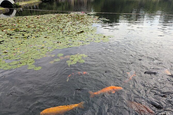 All-Inclusive Walking Tour of Nagoya: Discover it All! - Who Should Consider This Tour?