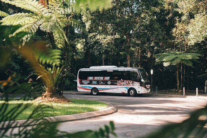 All Inclusive Waterfalls and Rainforest Tour from Cairns - Key Points