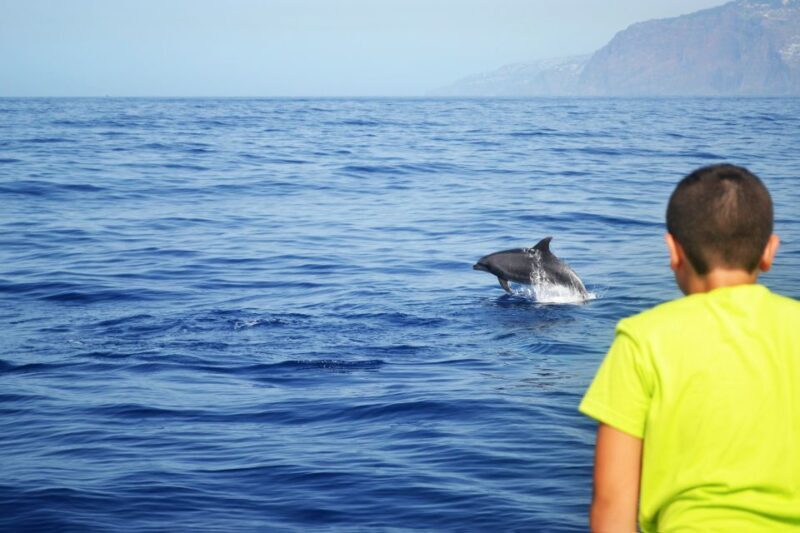 All Inclusive Whale and Dolphin Watching Luxury Tour - Final Thoughts