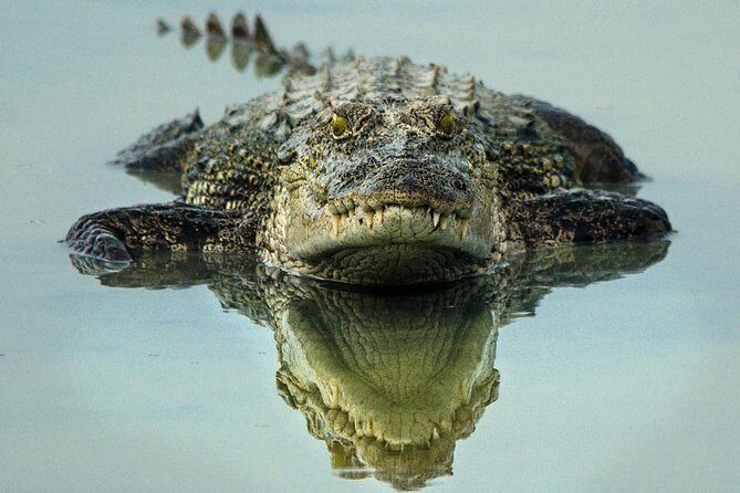 All Inclusive Wilpattu National Park Day Tour From Anuradhapura - Final Thoughts: Is It Worth It?