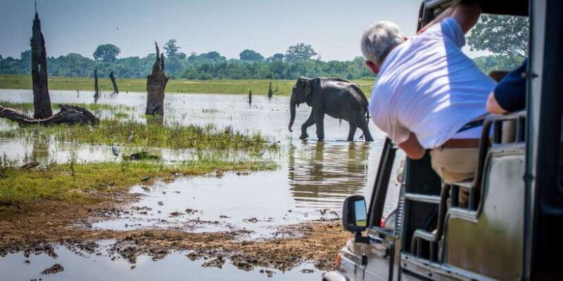 All inclussive Udawalawa National Park Safari From Colombo - Who Would Enjoy This Tour?