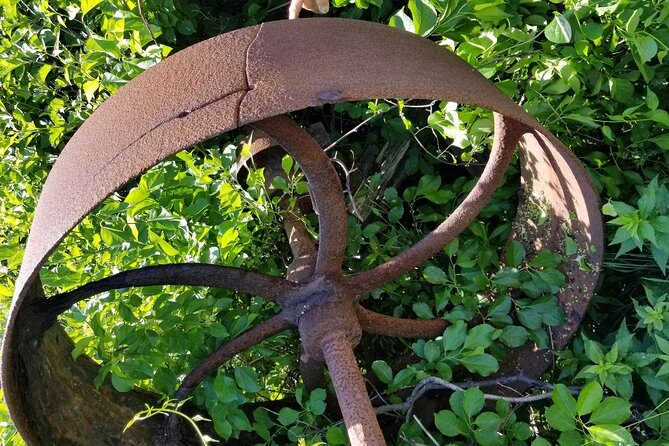 All Island Bus Tour - Key Points